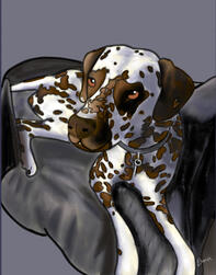 A brown-spotted Dalmatian puppy laying on a dark gray cushion