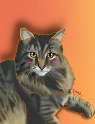 A striped tabby cat laying down with only head and front paw visible.